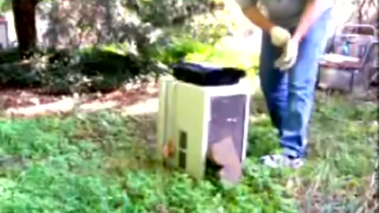 CHRIS CHAN DESTROYS THE PS3 (Aug 25, 2010) #chrischan #christianchandler