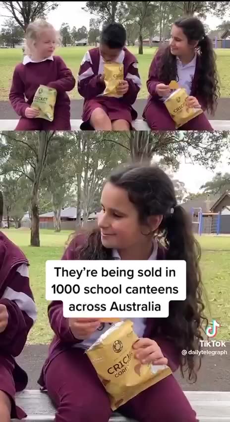 Children eating bugs