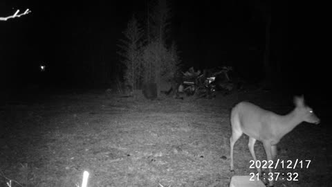 12/17/22 DOE 4