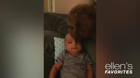 funny baby with dog
