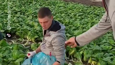 Funny Viral Video 2023