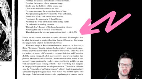 2024 HALFTIME SHOW SYMBOLISM ???