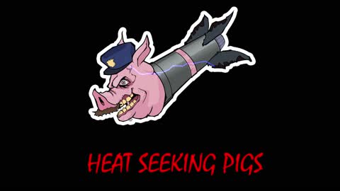 HEAT SEEKING P1GS: Police Brutality in Canada