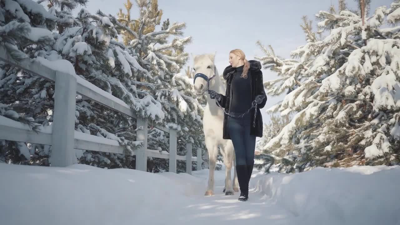 Young woman walks with a beautiful white horse