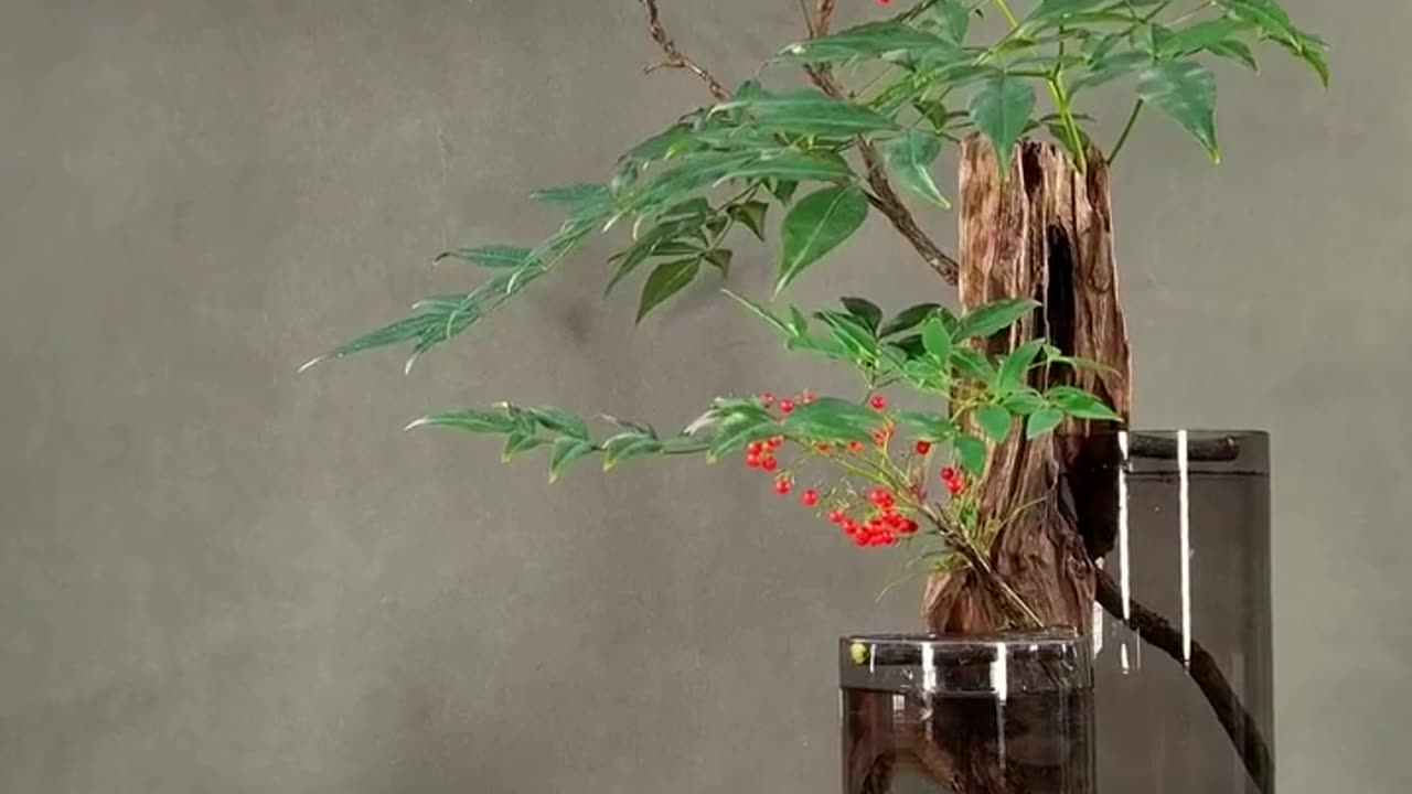 Flower ASMR