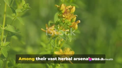 St. John's Wort: Nature's Mood Enhancer