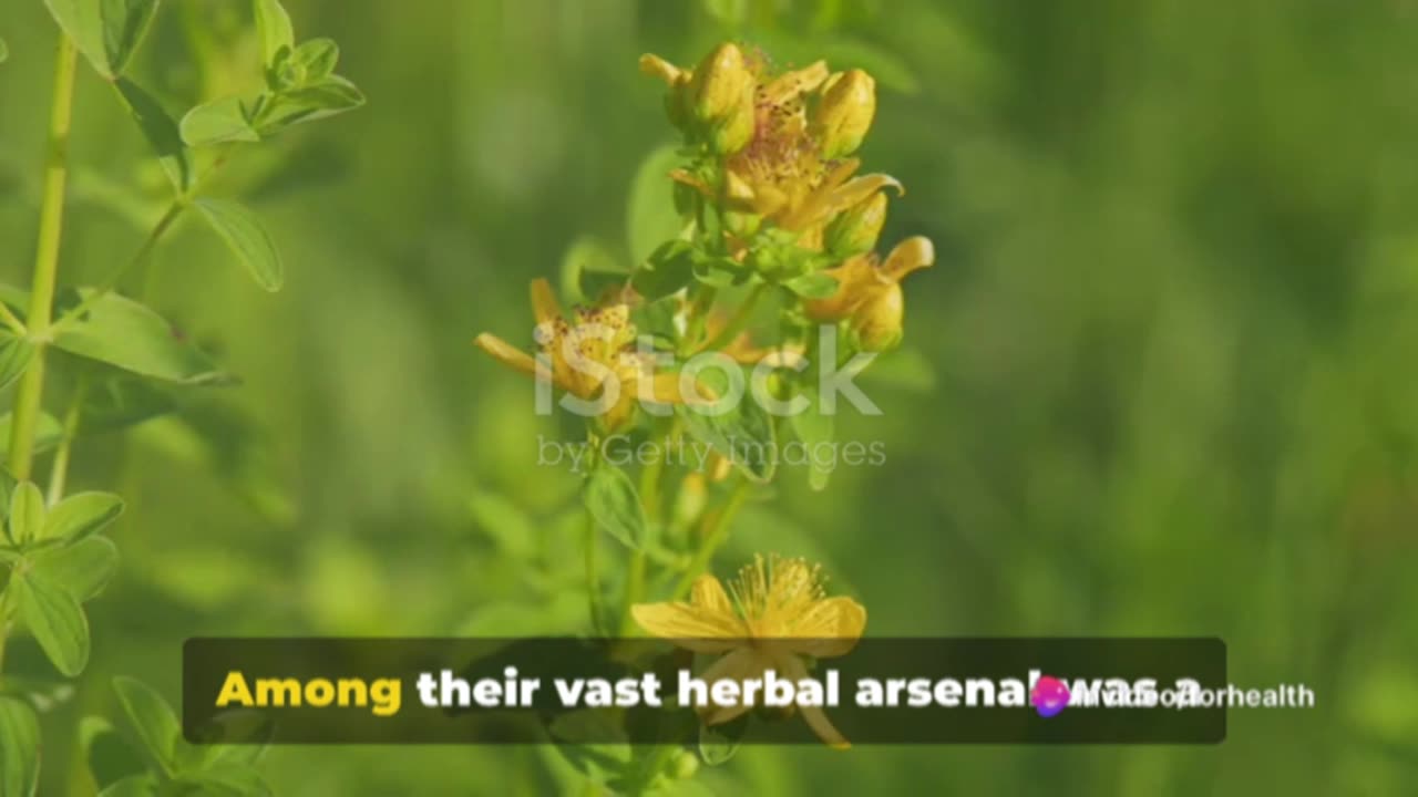 St. John's Wort: Nature's Mood Enhancer