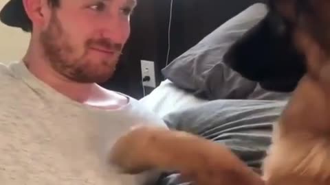 This dog grabs my chest, we're like brothers