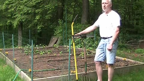 #278 - 20110528 - Freedom garden 2011
