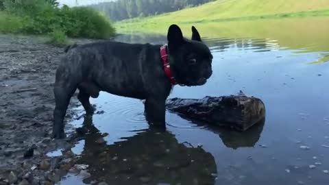 Games in the water
