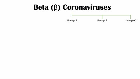 COVID 19 VARIANTS
