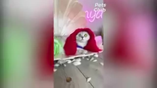 Squid Game Netflix Dog And Cat Vs Among Us!
