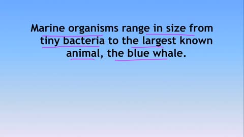 Environment and Ecology Lecture 9.1 - Marine Organisms