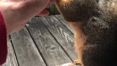 She’s wild and happy