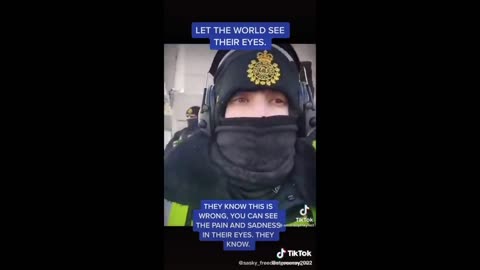 La honte dans leurs yeux - THE SHAME IN THEIR EYES SAYS IT ALL
