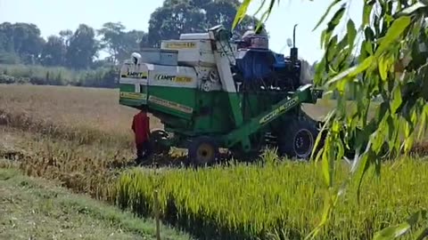 Agriculture work
