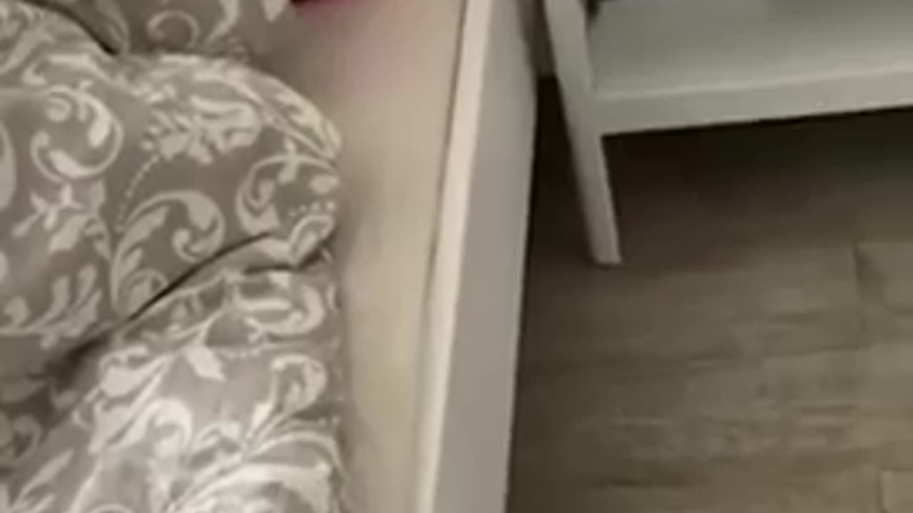 Funniest animals of 2023😂funny gats and dogs viral video