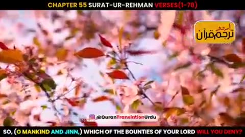 Surat-ur-Rehman