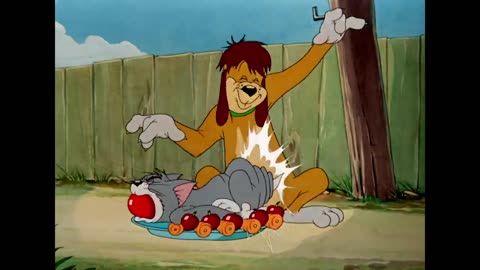 Tom & Jerry | The Friendship Triangle | Classic Cartoon Compilation