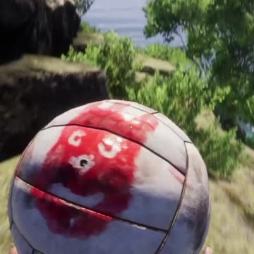 Why Hello Wilson! Project Castaway