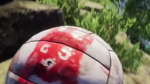 Why Hello Wilson! Project Castaway