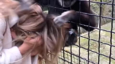 Funniest Animals Videos🐶 - Best Cats😂 and Dogs 😹Videos 2022!