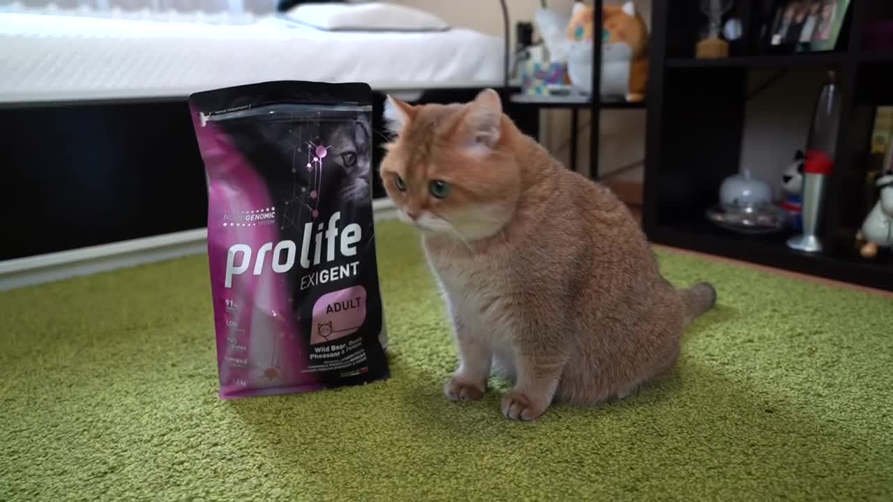 I'm hungry, Ma!