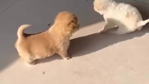 Cute 😘
