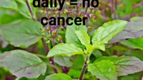 Daily tips for healthy body