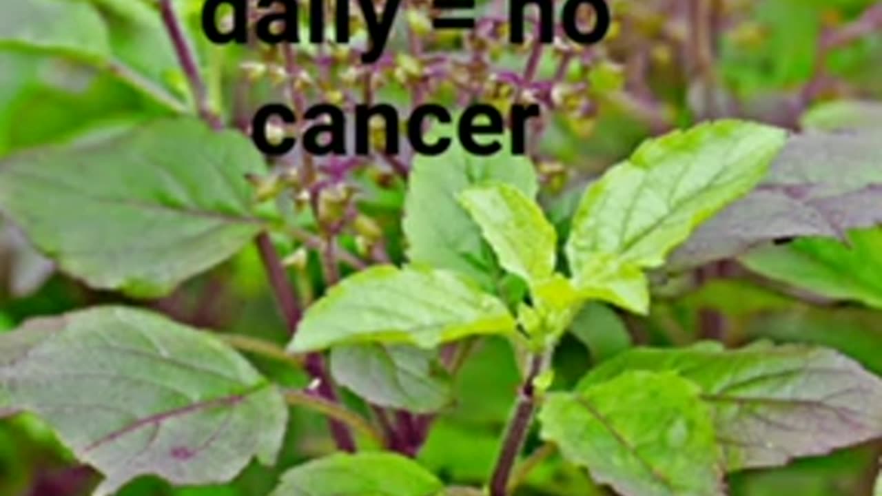 Daily tips for healthy body