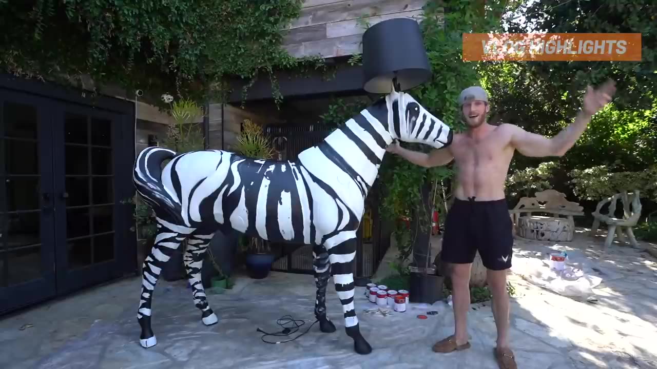 Logan Paul Vlogs Best Moments