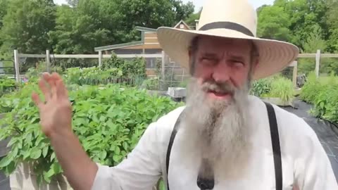 The Amish and the COVID scam