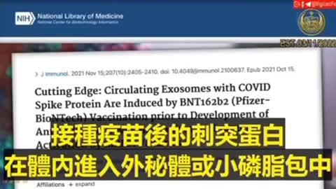 mRNA將在淋巴系統停留幾個月，刺突蛋白S1片段在人類CD16陽性單核細胞中停留長達15個月，而刺突蛋白會在體內停留1年以上