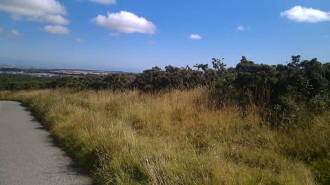 Elrick country park and Dyce view from Brimmond Hill Sept 2023