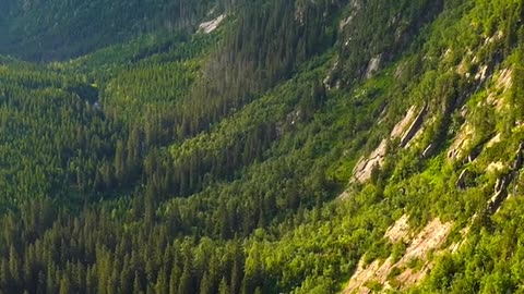 🔴 Music Relaxing , Sleep Music, Stress Relief Music, Spa, Meditation, Yoga, Zen, Sleeping Music