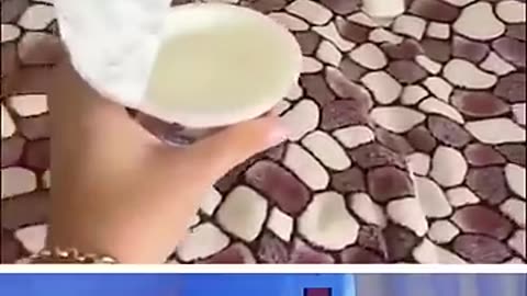 funny cats funny dogs animals video #111