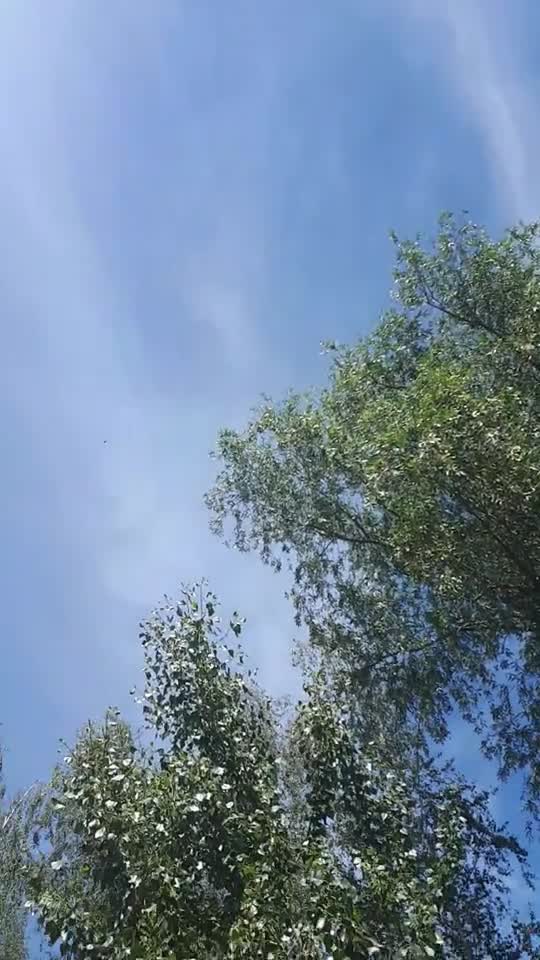 Himmel in Berlin am 17. Juni 2022 um 13:17 Uhr