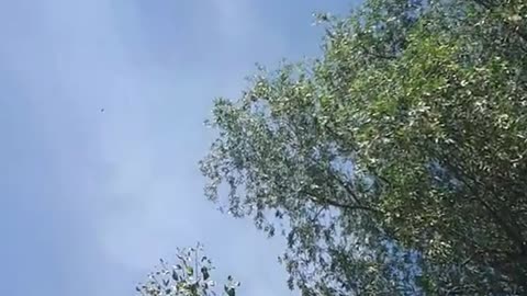 Himmel in Berlin am 17. Juni 2022 um 13:17 Uhr