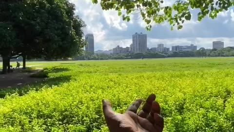 Kolkata City