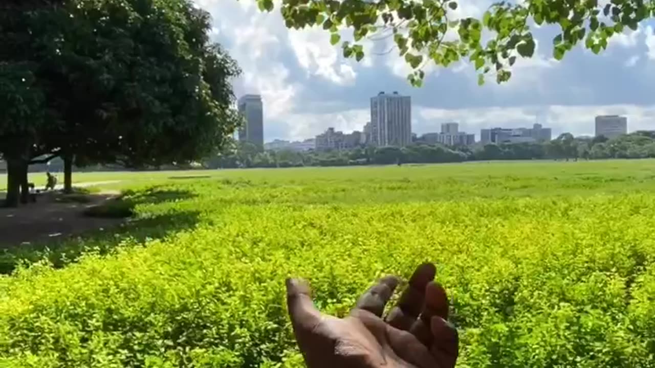 Kolkata City
