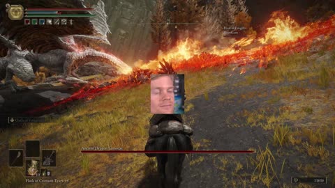 Elden Ring- Gam Gam can't see the dragon.