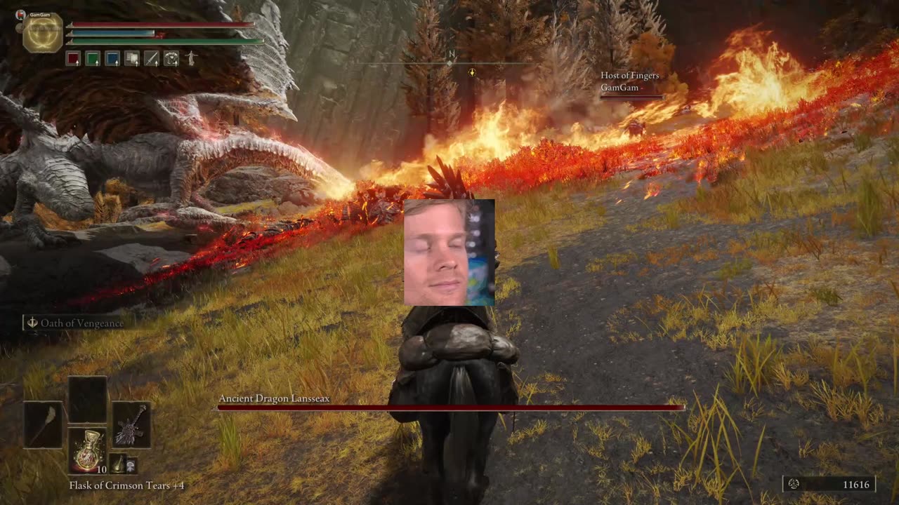 Elden Ring- Gam Gam can't see the dragon.
