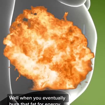 Where does the Fat Goes When You lose Weight