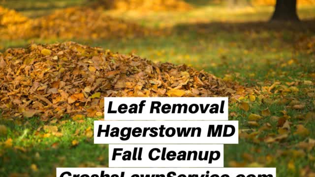 Leaf Removal Hagerstown MD Fall Cleanup Video