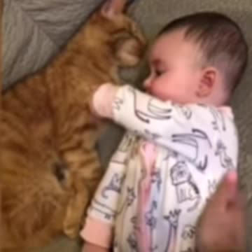 Did you see the cat sleeping next to the child?