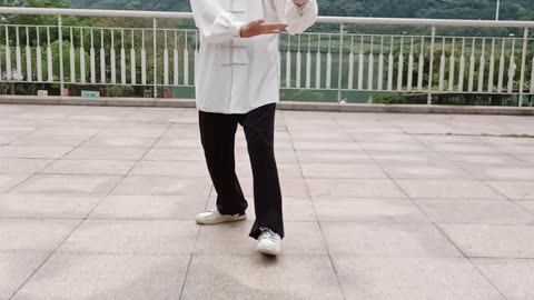 taichi5