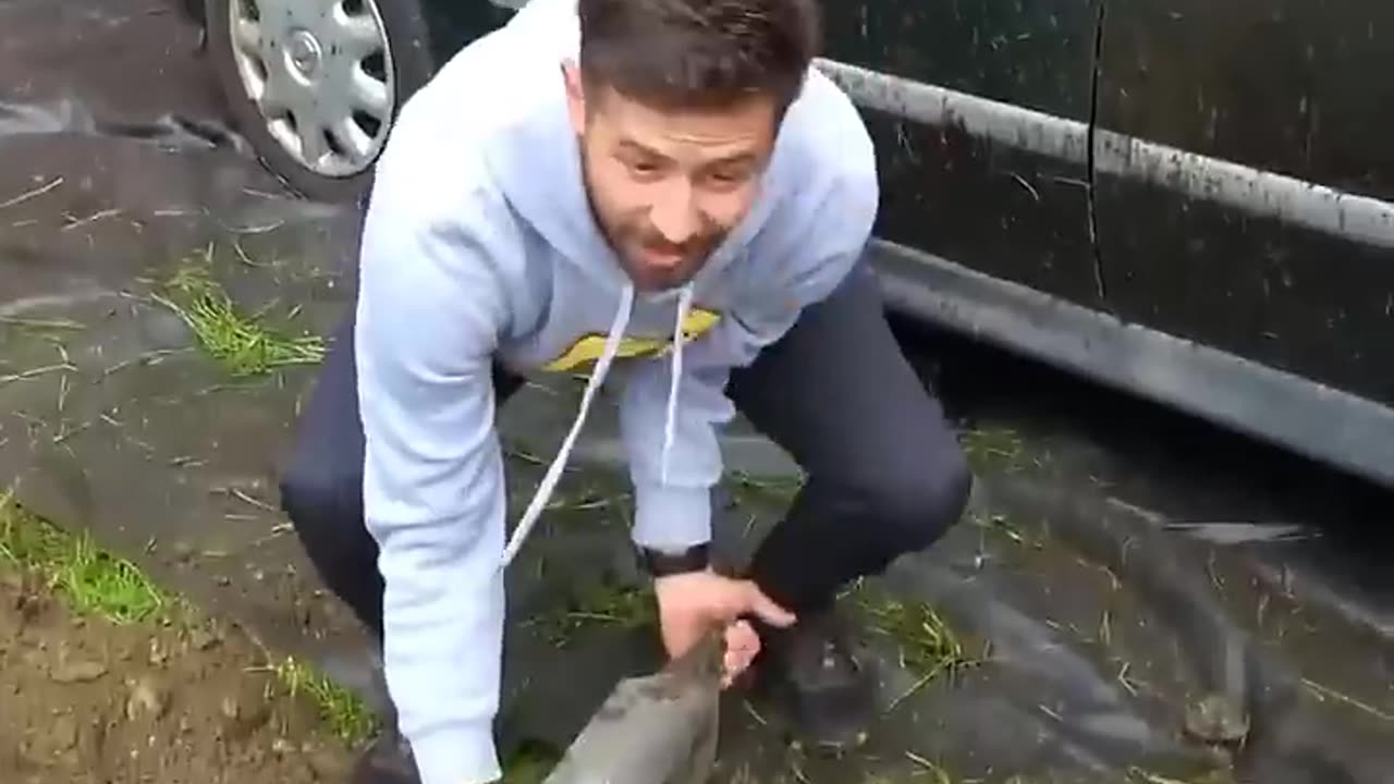 Dropping test of Metal Piece on Car.