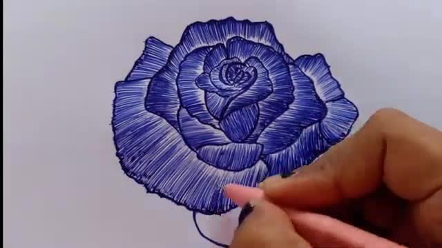 Ball point drawing rose || step by step|| tutorial