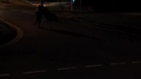 Jackass Style Trolley Crash