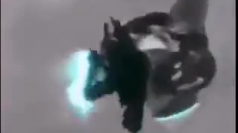 electric chicken